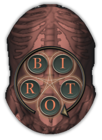 Outer ORBIT